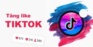 Tăng like TikTok bền vững
